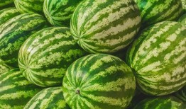 每日大赛 吃瓜--大赛每日芋圆呀呀吃瓜,芋圆呀呀带你吃瓜，欢乐无限